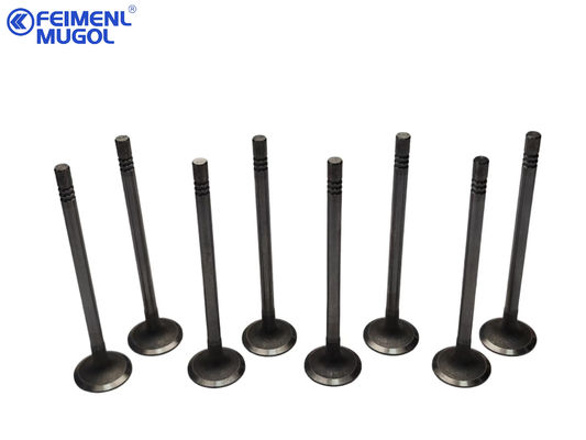 Harga yang bagus FEIMENL MUGOL Input Valve Fits FORD TRANSIT V348, PUMA2.4, OEM XS7Q-6507-A3C on line