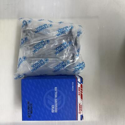 kualitas Precision Manufactured XS7Q-6507-A3C Inlet Valve untuk Ford Transit V348, Kotak lengkap dari 8 bagian untuk Kinerja mesin yang stabil. pabrik