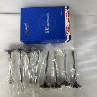 Harga yang bagus Klep Asupan Kekuatan Tinggi 1003101RAA untuk mesin VM425 & VM428 & Landwind X8 4D25, Superior Wear and Heat Resistance. on line