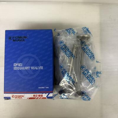 Harga yang bagus Precision Engineered Exhaust Valve 1003102RAA untuk mesin VM425 & VM428 & Landwind X8 4D25, Memastikan aliran knalpot yang efisien dan operasi mesin yang stabil. on line