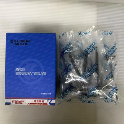 kualitas Premium Quality Input Valve 1007011-ED01 untuk Great Wall 4D20D & 4D20B Mesin, Dibangun untuk Perform dan Last. pabrik