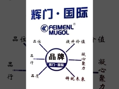 Perkenalan Produk Guangdong Federal-Mogul Industrial Co., Ltd.